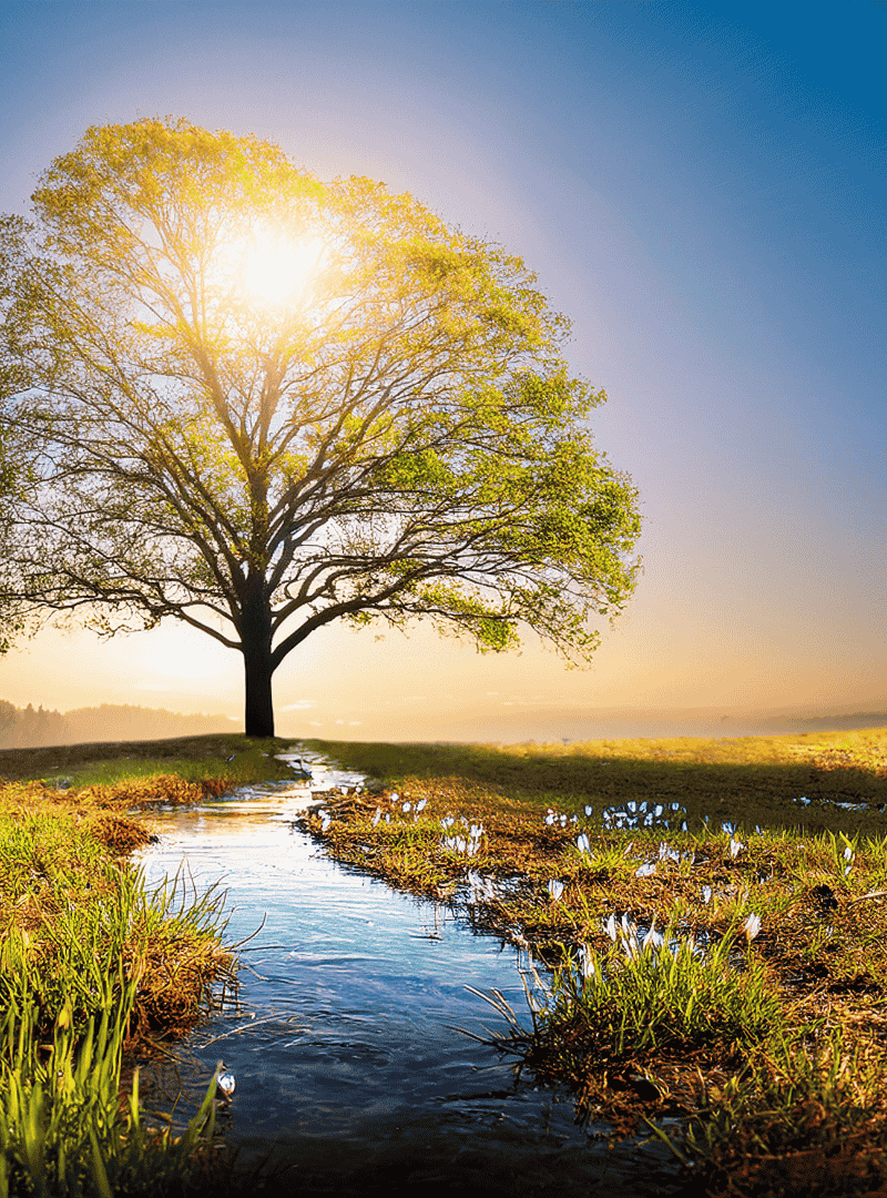 A healed patient walking in the nature